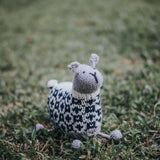 Sheep in a Sweater